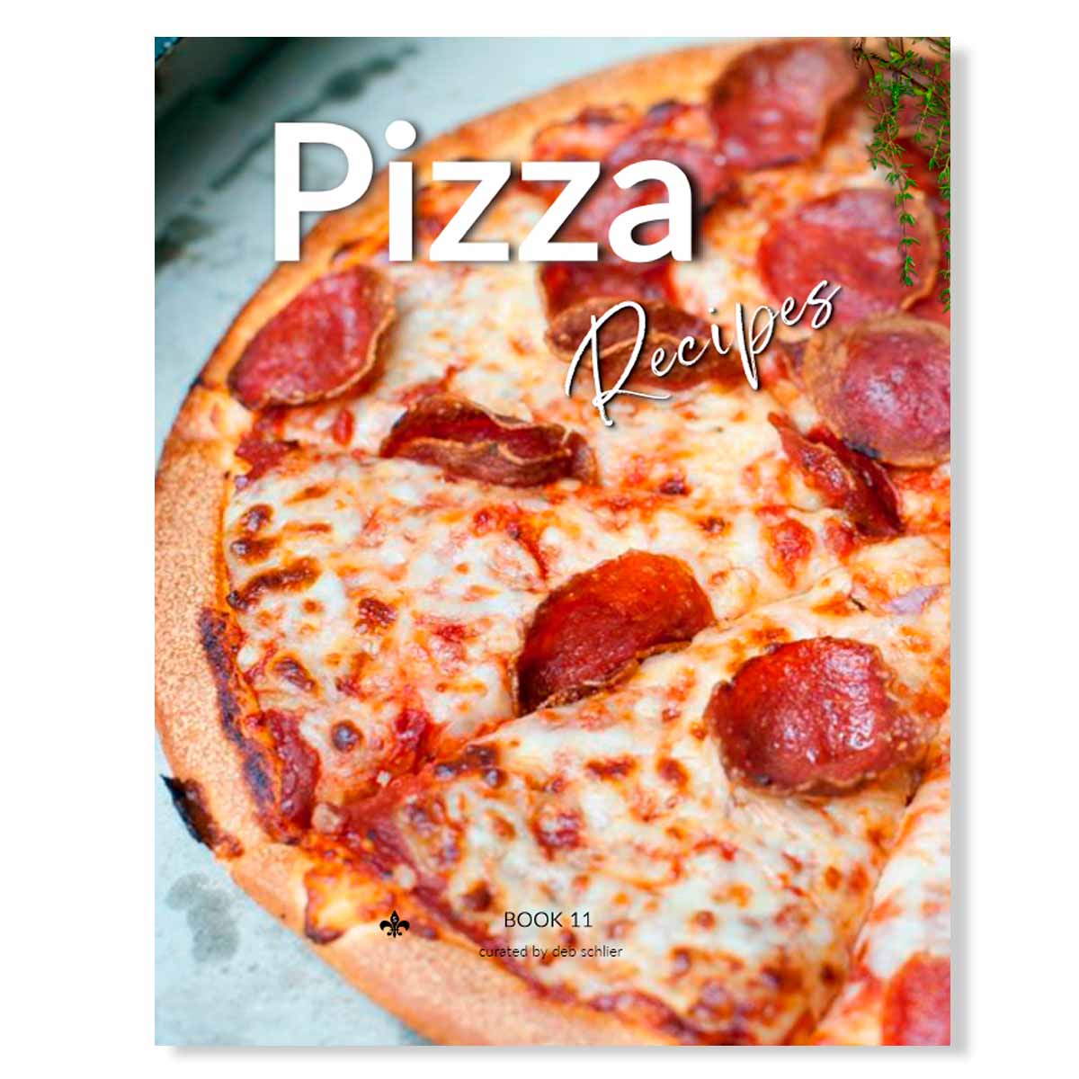 Pizza Recipes: Printable Book 11 - deb schlier studio