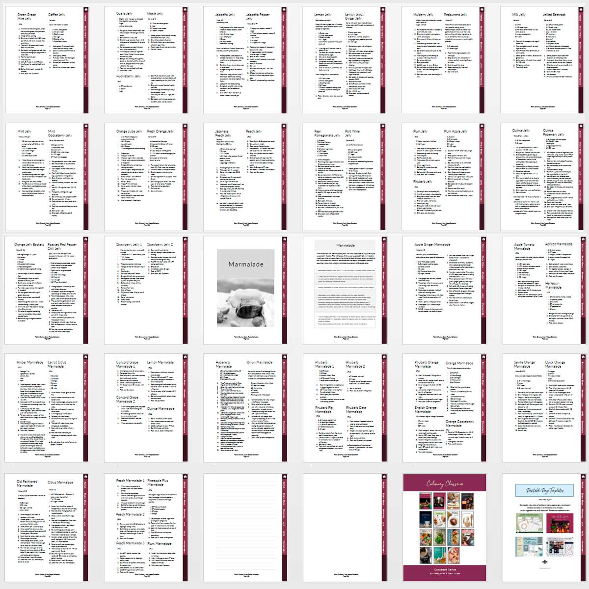 Relish, Chutney & Jam Handbook - deb schlier studio