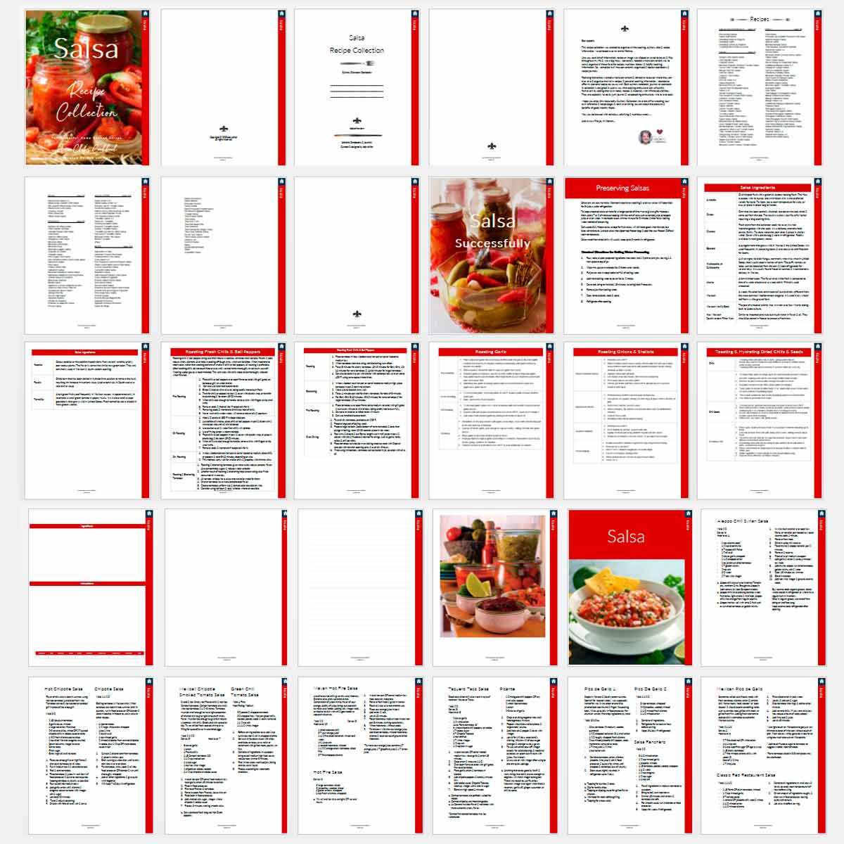 Salsa Recipe Book - deb schlier studio