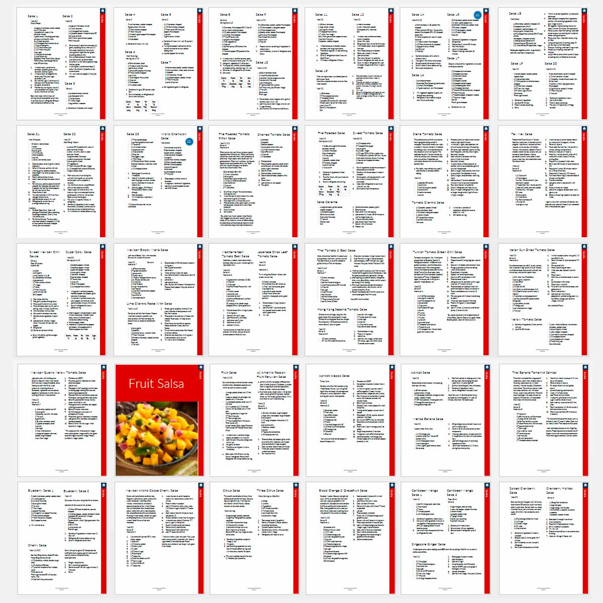Salsa Recipe Book - deb schlier studio