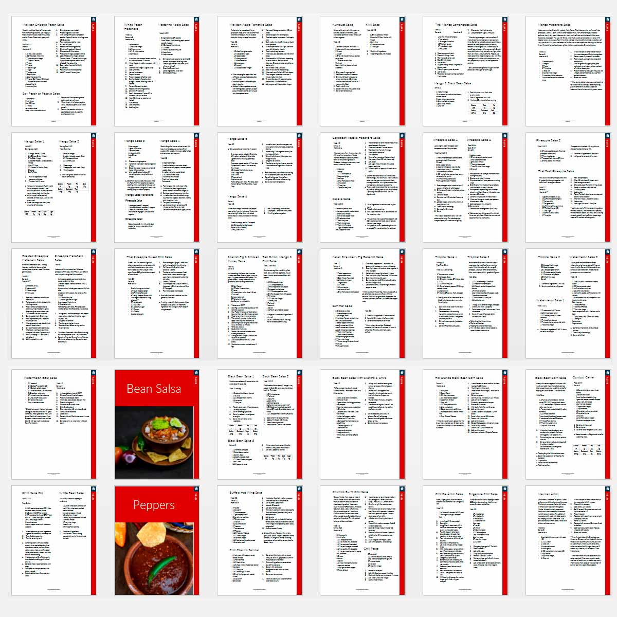 Salsa Recipe Book - deb schlier studio