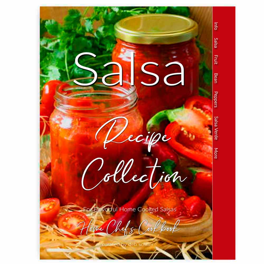 Salsa Recipe Book - deb schlier studio