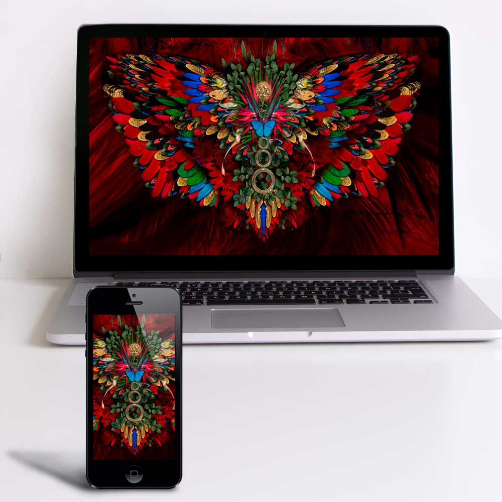 Scarlet Macaw Wallpaper for Desktop & Phone - deb schlier studio