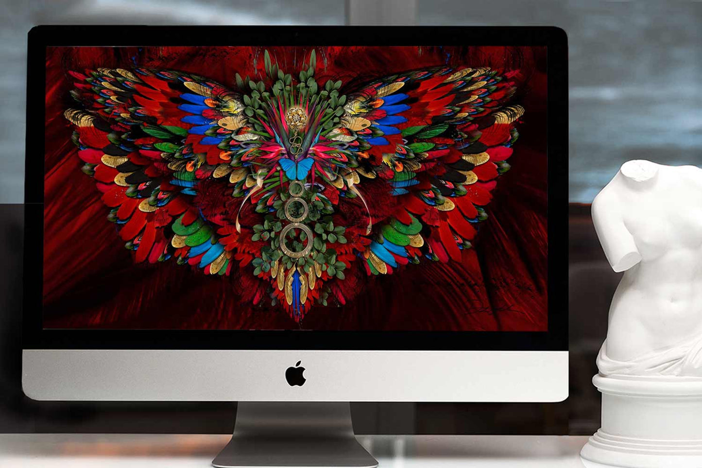 Scarlet Macaw Wallpaper for Desktop & Phone - deb schlier studio