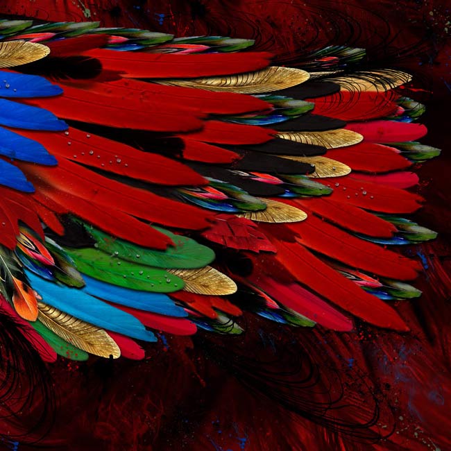 Scarlet Macaw Wings Long Scarf - deb schlier studio