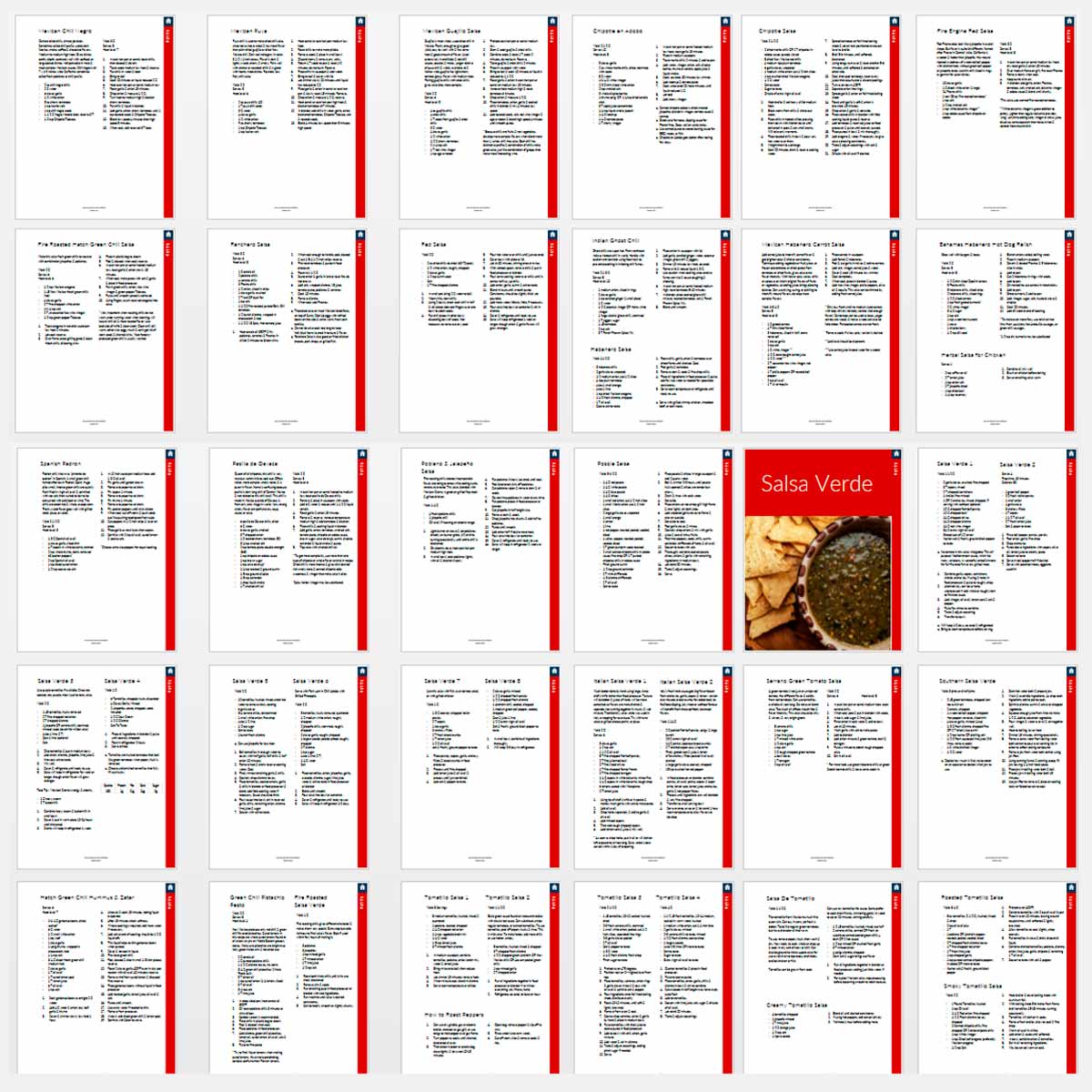 Salsa Recipe Book